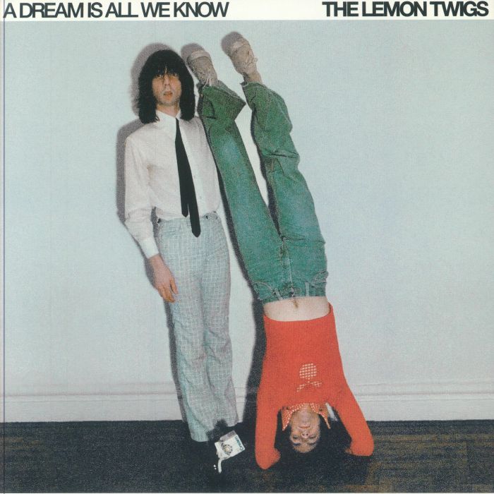 A Dream Is All We Know - Vinyl LP vinyl record cover