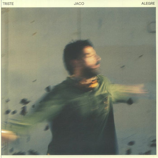 Triste Alegre - Vinyl LP vinyl record cover