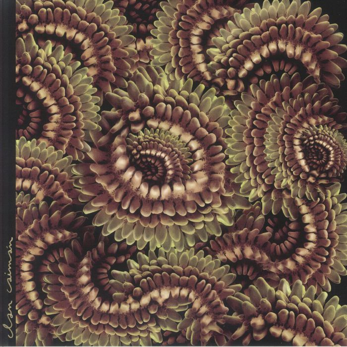 Pica Pau - Vinyl LP vinyl record cover