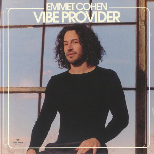Vibe Provider - Limited Edition Black Ice Vinyl LP vinyl record cover