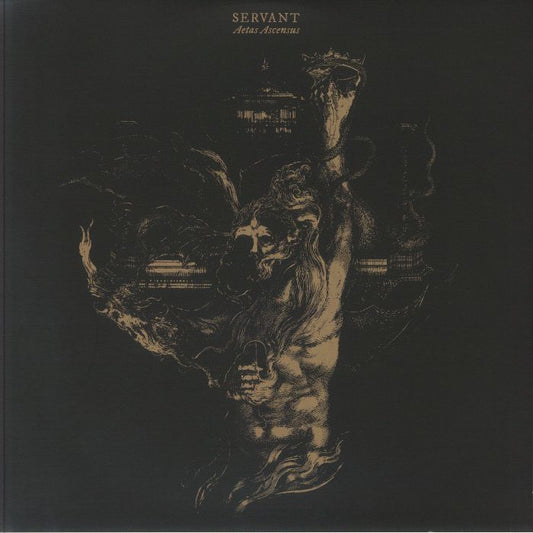 Aetas Ascensus - Vinyl LP vinyl record cover