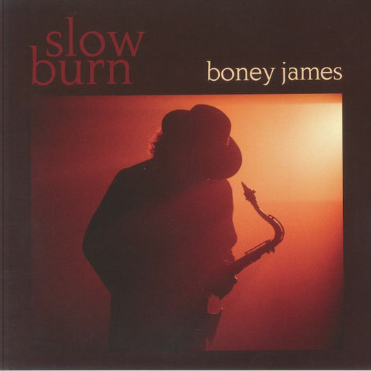 Slow Burn - Vinyl LP vinyl record cover