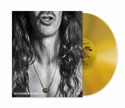 DIY - Limited Edition Gold Vinyl LP vinyl record cover