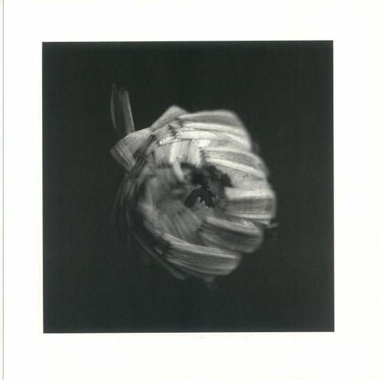 An Empire - 2xLP vinyl record cover