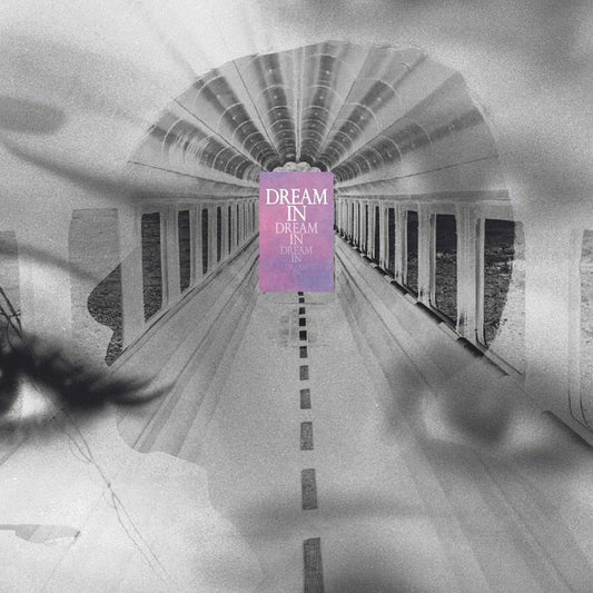 Dream In Dream - Vinyl LP + Insert vinyl record cover