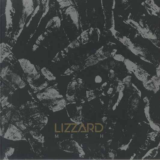 Mesh - Vinyl LP vinyl record cover