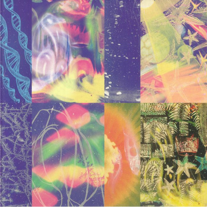 The Neon Gate - Vinyl LP vinyl record cover
