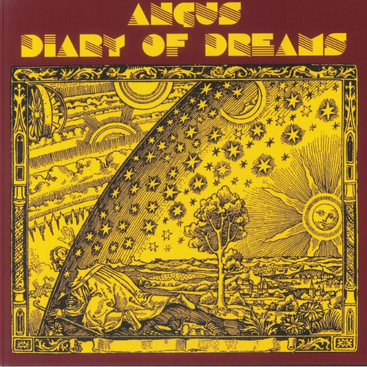 Diary Of Dreams - Limited Edition Vinyl LP vinyl record cover