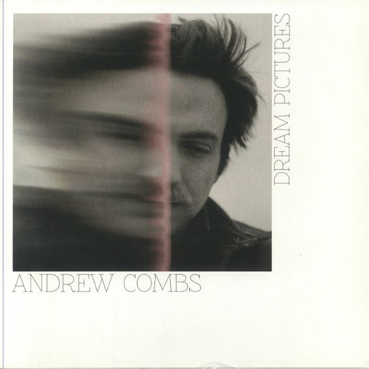 Dream Pictures - Vinyl LP vinyl record cover