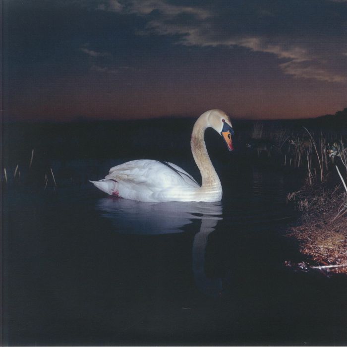 Is Peace Wild? - Vinyl LP vinyl record cover