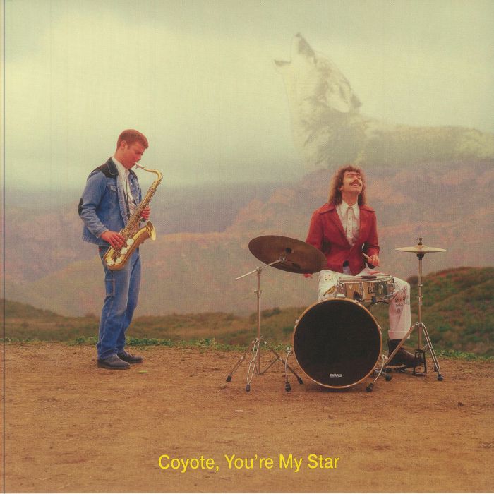 Coyote You're My Star - Vinyl LP vinyl record cover