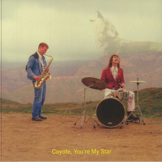 Coyote You're My Star - Vinyl LP vinyl record cover