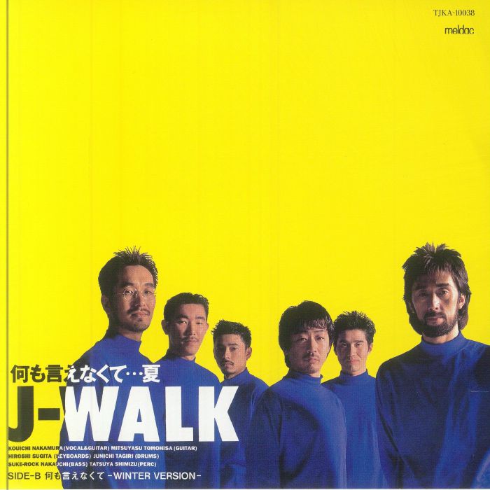 Nanimoienakute Natsu - Vinyl Single vinyl record cover