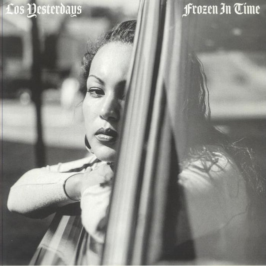 Frozen In Time - Vinyl LP vinyl record cover