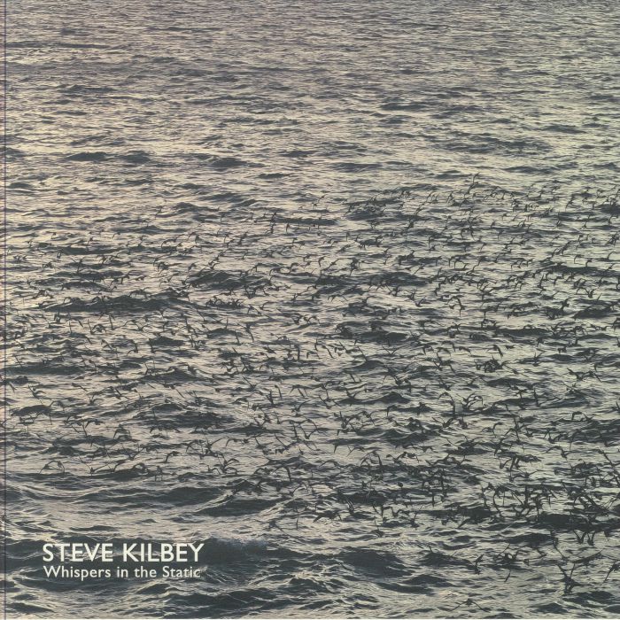Whispers In The Static - Limited Edition Grey Vinyl LP vinyl record cover