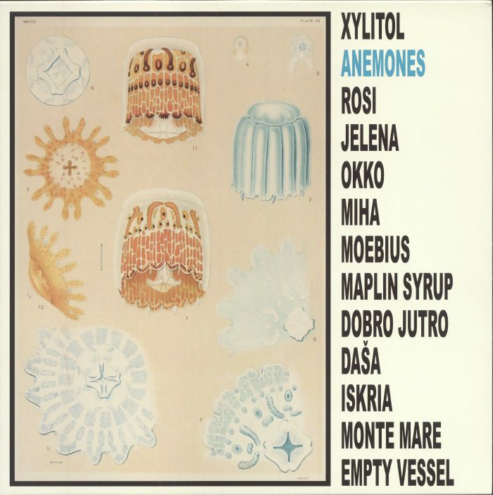Anemones - Vinyl LP vinyl record cover