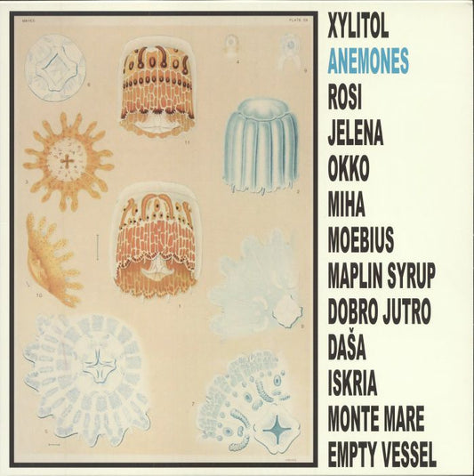 Anemones - Vinyl LP vinyl record cover
