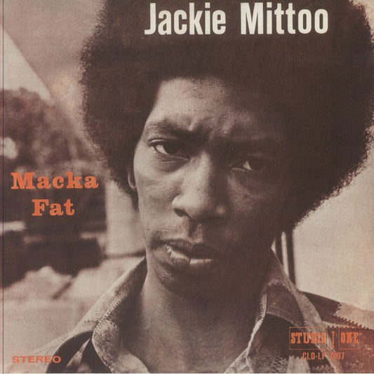Macka Fat - Vinyl LP vinyl record cover