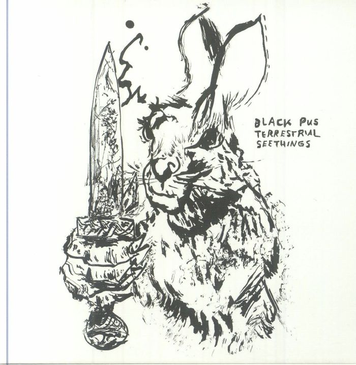 Terrestrial Seethings - CD CD cover