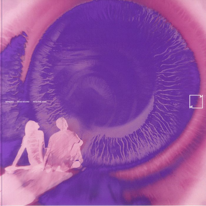 Into The Void - Vinyl LP vinyl record cover