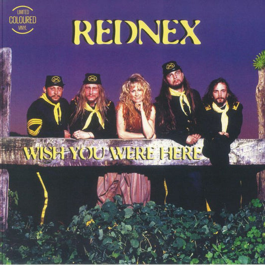 Wish You Were Here - Limited Edition Splatter Vinyl Single vinyl record cover