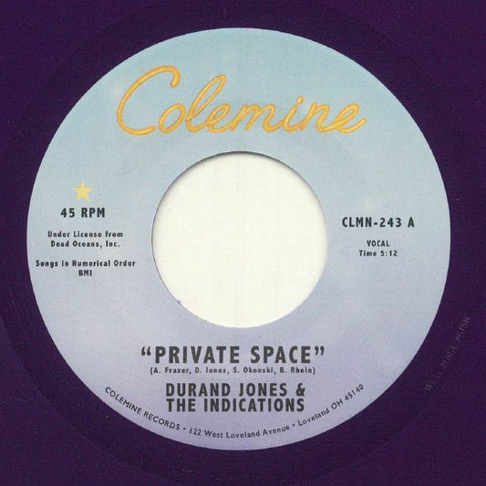 Private Space - Purple Vinyl Single vinyl record cover