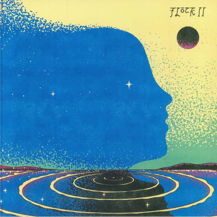 Flock II - Vinyl LP vinyl record cover