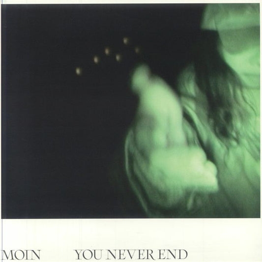 You Never End - Vinyl LP vinyl record cover