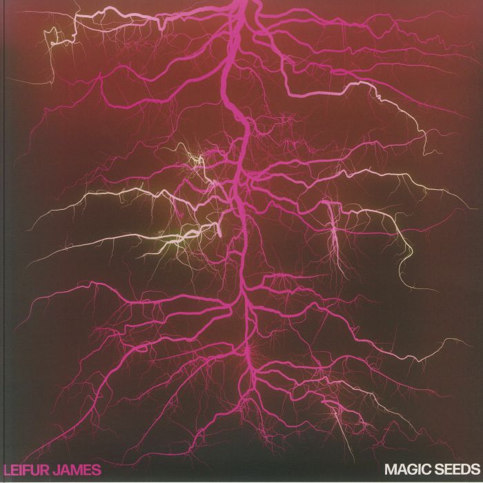 Magic Seeds - Vinyl LP vinyl record cover