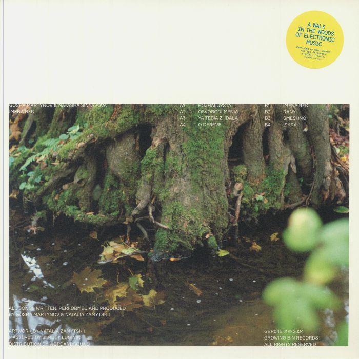 Imena Rek - Vinyl LP vinyl record cover