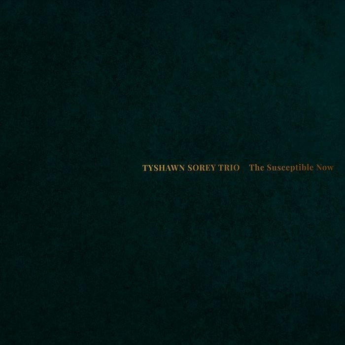 The Susceptible Now - CD CD cover
