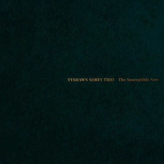 The Susceptible Now - CD CD cover