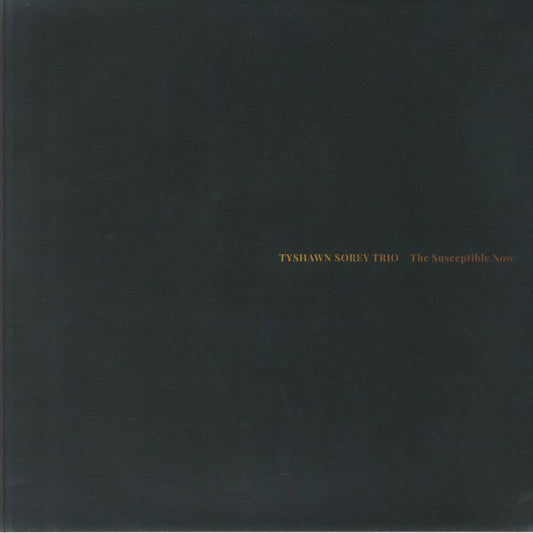 The Susceptible Now - Limited Edition 2xLP vinyl record cover