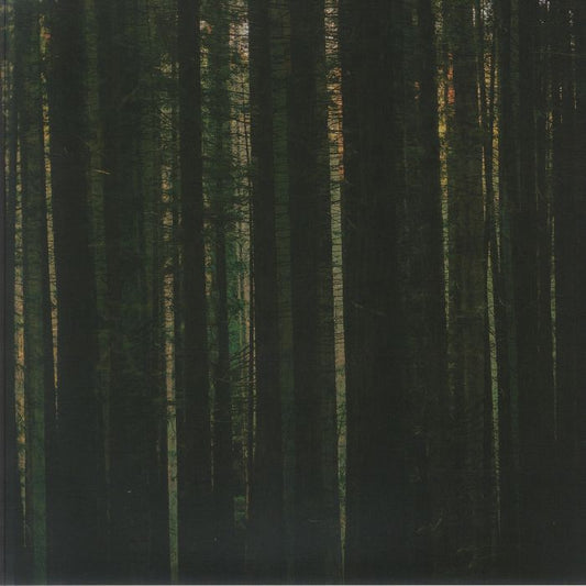 Evergreen - Marbled Vinyl LP vinyl record cover