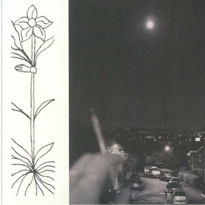 A Soft & Gatherable Star - Vinyl LP vinyl record cover