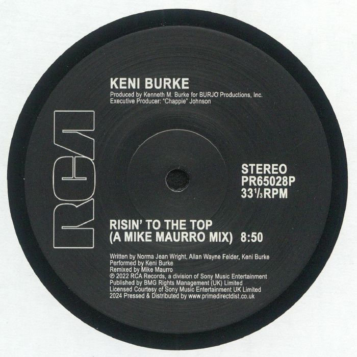 Risin' To The Top (A Mike Maurro Mix) / I'm In Love (A Mike Maurro Mix) - Vinyl Single vinyl record cover