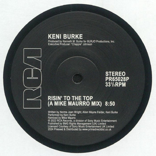 Risin' To The Top (A Mike Maurro Mix) / I'm In Love (A Mike Maurro Mix) - Vinyl Single vinyl record cover