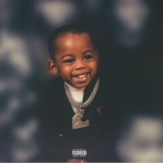 The Kid That Did - Grey Vinyl 2xLP vinyl record cover