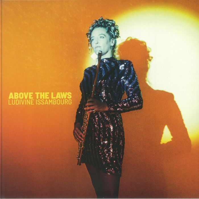 Above The Laws - Vinyl LP vinyl record cover