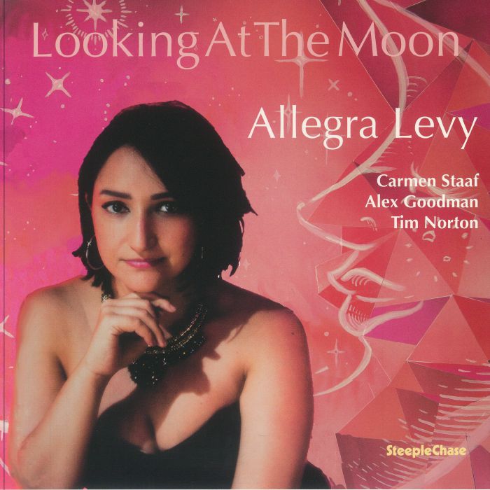 Looking At The Moon - Vinyl LP vinyl record cover