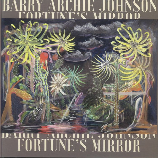 Fortune's Mirror - Vinyl LP vinyl record cover