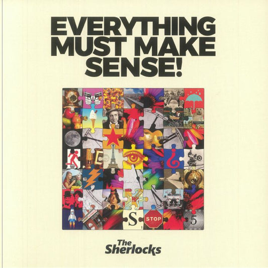 Everything Must Make Sense! - Vinyl LP vinyl record cover