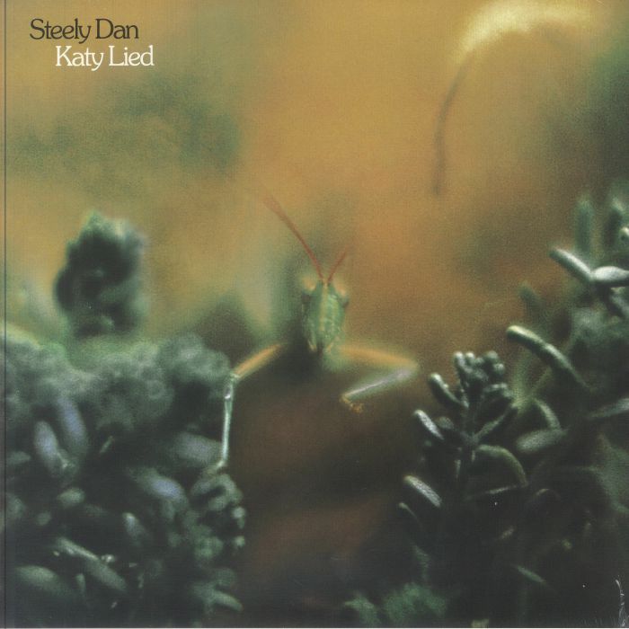Katy Lied - Vinyl LP vinyl record cover