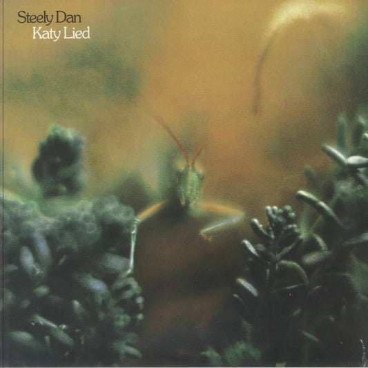 Katy Lied - Vinyl LP vinyl record cover