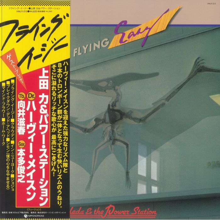 Flying Easy - Vinyl LP vinyl record cover
