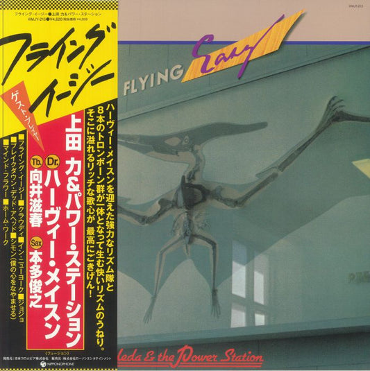 Flying Easy - Vinyl LP vinyl record cover