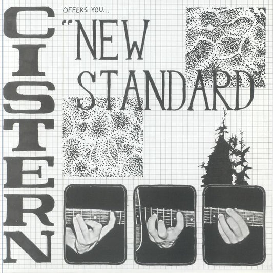New Standard - Vinyl EP vinyl record cover