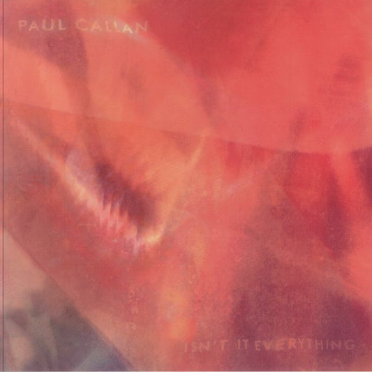 Isn't It Everything! - Limited Edition Vinyl LP vinyl record cover