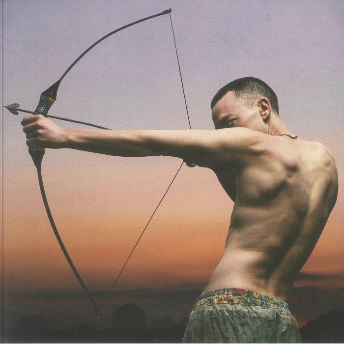 Polari - Translucent Purple Vinyl LP vinyl record cover