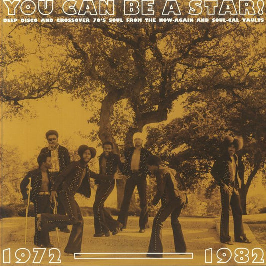 You Can Be A Star: Deep Disco & Crossover 70s Soul From The Now-Again & Soul-Cal Vaults 1972-1982 - Vinyl LP vinyl record cover